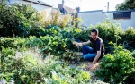 22.08.2016 - Grâce à la permaculture, il récolte 300 kg de légumes dans son jardin