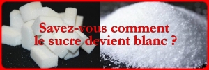 03.09.2014 - Savez vous comment est obtenu le sucre blanc ? 