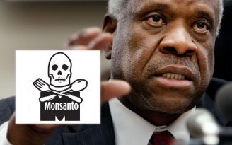 23.12.2015 - Monsanto va être poursuivi pour crimes contre l’humanité à la Cour pénale internationale