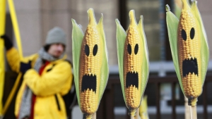 26.04.2015 - La Commission européenne autorise la commercialisation de 19 nouveaux OGM