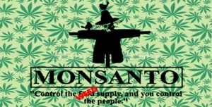 12.04.2015 - Pourquoi Légaliser Le Cannabis ? Parceque Monsanto Arrive Avec Ses OGM…