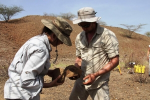 24.05.2014 - Des hominines taillaient déjà des outils il y a 3,3 millions d'années