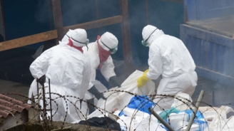 24.09.2014 - Ebola: Santé Canada censure le fait que le virus pourrait être aéroporté