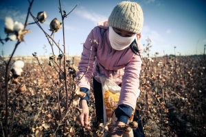 08.08.2017 - La Banque mondiale complice du travail des enfants et du travail forcé en Ouzbékistan…