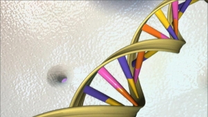 19.10.2014 - Les sodas accéléreraient le vieillissement de l'ADN et des cellules