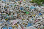 16.03.2016 - Adieu pollution au plastique ? Une bactérie qui le dévore vient d'être découverte au Japon