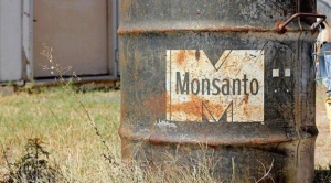 15.04.2015 - Monsanto veut contrôler le business des abeilles