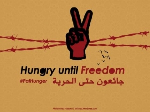 06.05.2017 - Appel à la mobilisation : Solidarité avec le mouvement de grève de la faim des prisonniers palestiniens