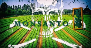 13.08.2018 - De l'héroïne au glyphosate: trois choses à savoir sur Bayer et Monsanto