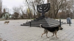 08.05.2016 - Le drapeau israélien brûlé dans un mémorial de l’Holocauste en Ukraine