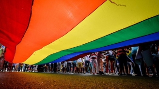 23.05.2015 - Une étude sur le mariage gay truquée aux Etats-Unis