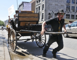 24.08.2015 - Un cocher prend la place de son cheval pour clouer le bec à des gauchistes au grand cœur