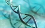 16.05.2016 - Génétique : oui, l'environnement peut manipuler notre ADN