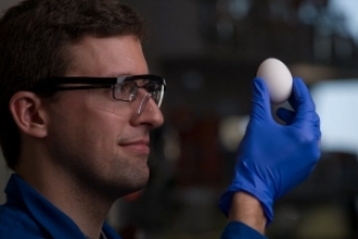 04.02.2015 - Science décalée : des chimistes ont réussi à « décuire » un œuf