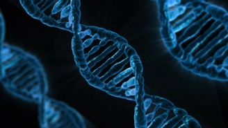 25.04.2015 - Humanisme, conséquence logique : des scientifiques chinois ont modifié génétiquement le premier embryon humain