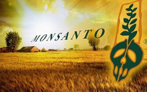 Bonne nouvelle : Monsanto démarre l'année avec l'abolition de 1000 postes