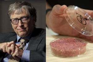 Pour Bill Gates, les pays riches devraient entièrement passer au bœuf synthétique
