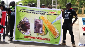 25.05.2015 - Manifestations contre Monsanto à travers le monde