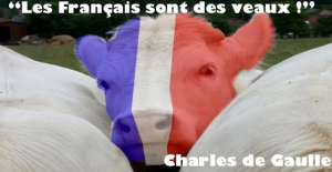 08.05.2017 - C'est officiel ! une partie des français sont des veaux !