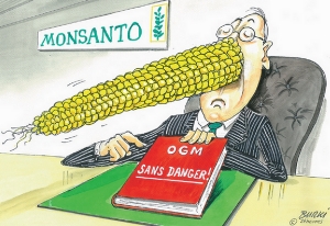 19.11.2014 - Monsanto: La fin du géant des OGM est-elle proche ?