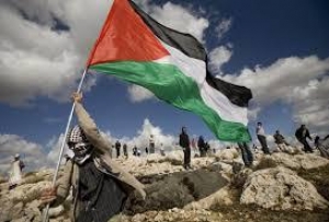 12.05.2015 - Appel en justice de Palestiniens pour récupérer des terres confisquées par Israël