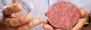 02.10.2014 - La viande in vitro bientôt dans nos assiettes ?