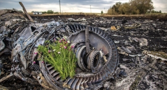 10.10.2015 - Nouvelles déclarations étranges autour du crash du Boeing malaisien en Ukraine