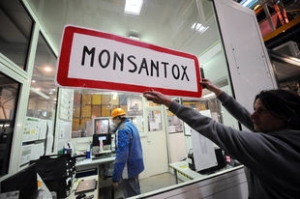 07.10.2015 - Les OGM bannis par la majorité des pays européens