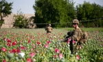 07.10.2016 - Afghanistan : c’est l’héroïne, idiot !