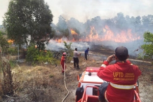 14.11.2015 - Incendies en Indonésie : le lobby de l’huile de palme enfin visé par le président