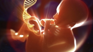 23.07.2018 - L’Angleterre ouvre la porte aux bébés génétiquement modifiés