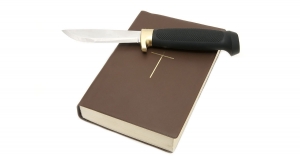 03.01.2017 - Une chrétienne autrichienne poignardée pour avoir lu la Bible dans un centre de migrants