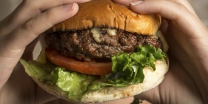 03.09.2015 - Le hamburger, de la merde entre deux tranches de pains ?