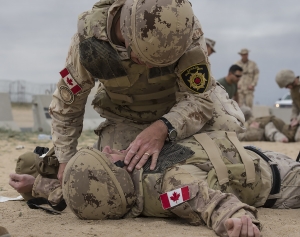 10.07.2017 - Le gouvernement libéral prolonge la participation du Canada dans la guerre au Moyen-Orient jusqu’en 2019