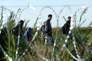 23.11.2018 - Une ONG apprend aux migrants comment berner l'Occident