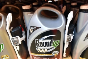 L'herbicide Roundup jugé cancérigène par un jury américain, Bayer chute en Bourse