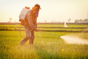08.03.2018 - Dicamba : le nouvel herbicide dévastateur de Monsanto va faire très mal