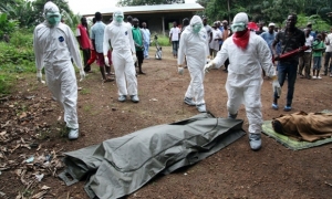 16.11.2014 - Fin de l'épidémie d'Ebola en RDC