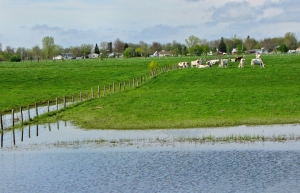 07.10.2014 - Pétrole lourd: le lac Saint-Pierre menacé