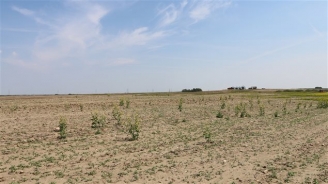 24.08.2015 - Sècheresse : l’Alberta déclare l’état de « désastre agricole »