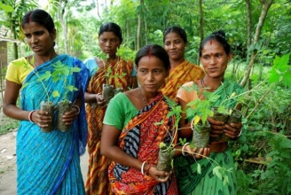 16.12.2015 - Cet incroyable village indien plante 111 arbres à chaque fois qu’une petite fille naît