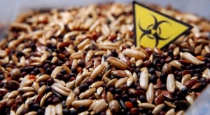 24.10.2014 - OGM : l'étude qui pourrait les rendre illégaux