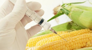 30.03.2015 - USA : Monsanto fait payer des amendes aux agriculteurs bio