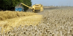 28.04.2015 - Pour les agriculteurs, ressemer sa propre récolte sera interdit ou taxé
