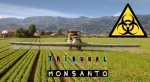 22.10.2016 - Tribunal de Monsanto: l'accusé prépare sournoisement sa défense
