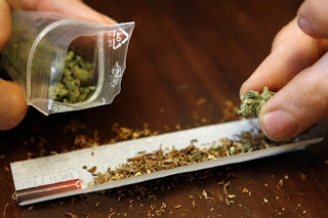 21.10.2015 - Cannabis : pourquoi la légalisation, idée de M. "J'ai un plan(t)" Trudeau n'est pas la solution 