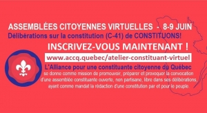 La constituante citoyenne virtuelle est une initiative inadéquate qu´il nous faut rejeter